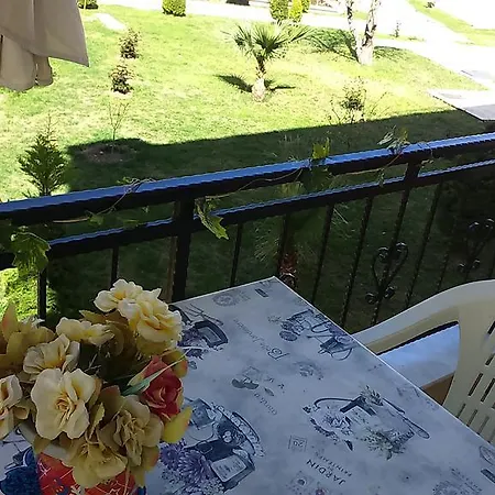 Apollon Daire Didim